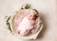 Olivia - Newborn