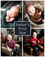 Parker - 1 year