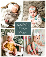 Noah - 1 year