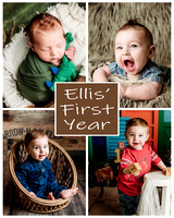 Ellis - 1 year