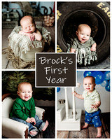 Brock - 1 year