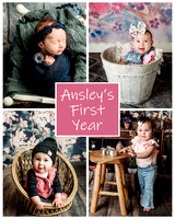 Ansley - 1 year