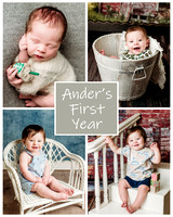 Ander - 1 year