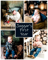 Jaggar - 1 year