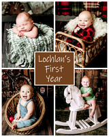 Lochlan - 1 year