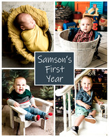 Samson - 1 year