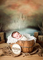 Hudson - Newborn