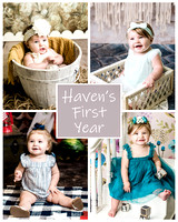 Haven - 1 year