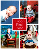 Tripp - 1 year
