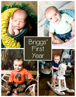 Briggs - 1 year