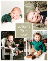 Walker - 1 year