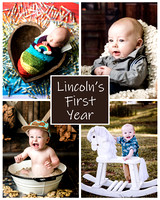 Lincoln - 1 year