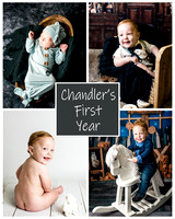 Chandler - 1 year