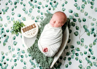 Brooks - Newborn