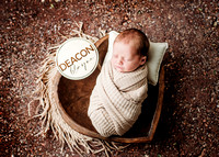 Deacon - Newborn