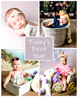 Tinley - 1 year