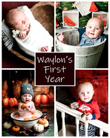 Waylon - 1 year