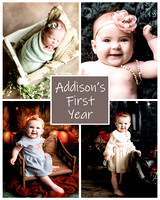 Addison - 1 year