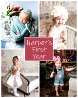 Harper - 1 year
