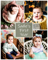 Sadie - 1 year