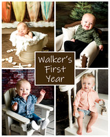 Walker - 1 year