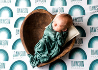 Dawson - Newborn