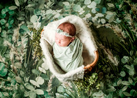 Livian - Newborn