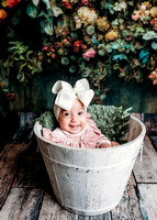 Livvy - 4 months