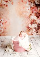 Lyra - Newborn